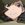 Sora No Woto