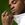 Mike Jones