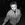 The Weeknd