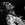 Luther Allison