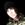 Oliver Sykes