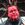 Mudvayne
