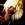 Michael Schenker Group