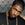 Nick Cannon