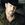 Trace Adkins