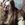 Finntroll