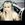 DJ Layla