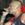 The Exploited