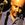 Wilson Dias
