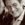 Randy Stonehill