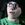 Mike Bailey