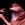 Steven Wilson