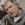 Tim Finn