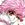 Magic Knight Rayearth
