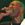 Mr Catra