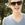 Cameron Mitchell