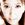 Kokia