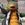 Hevisaurus