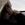 Wardruna