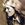 Kim Carnes