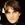 Starsailor