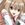 Seto no Hanayome
