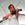 Sara Watkins