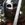Graveland