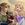 Legend Of Zelda