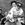 Operation Ivy