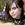Amy Macdonald
