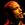 Cosmo Jarvis