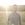 The Tallest Man on Earth