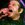 Circle Jerks