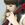 Kanon Wakeshima