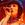 The Long Blondes