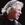 Roger Waters