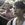 Parenthetical Girls