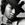 Miura Daichi