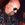 Halford