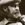Roy Buchanan