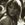 Grace Potter and The Nocturnals