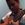 JSC.STZ