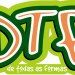 dtf