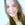 vic_rodrigues