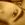 jupiter_amaral