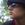 saulo_cabral