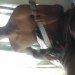 cleber henriques da costa