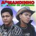 armandinhoeosrb