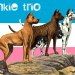bandajunkietrio